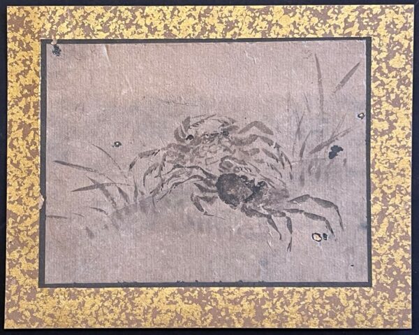 Japon Étude d’insecte orthoptère Encre sur papier washi époque Edo