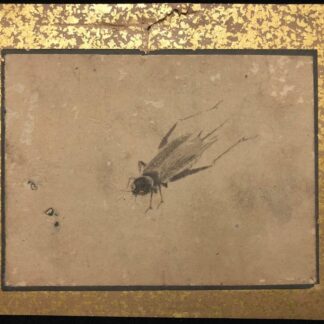 Japan Edo 17th-18th C Mushi Fly Painting Ink on Paper
