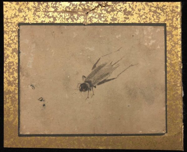 Japon mouche Étude naturaliste à l’encre époque Edo (XVIIIe ou début XIXe)
