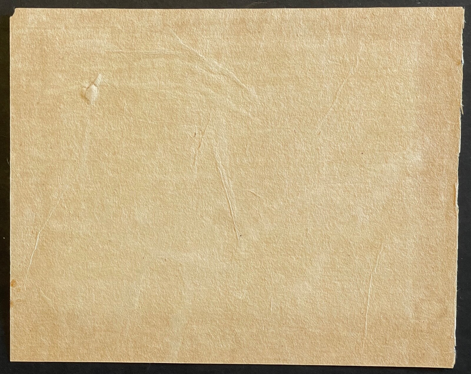 Japon deux grillons Étude naturaliste à l’encre papier japon vergé Époque Edo – Image 5