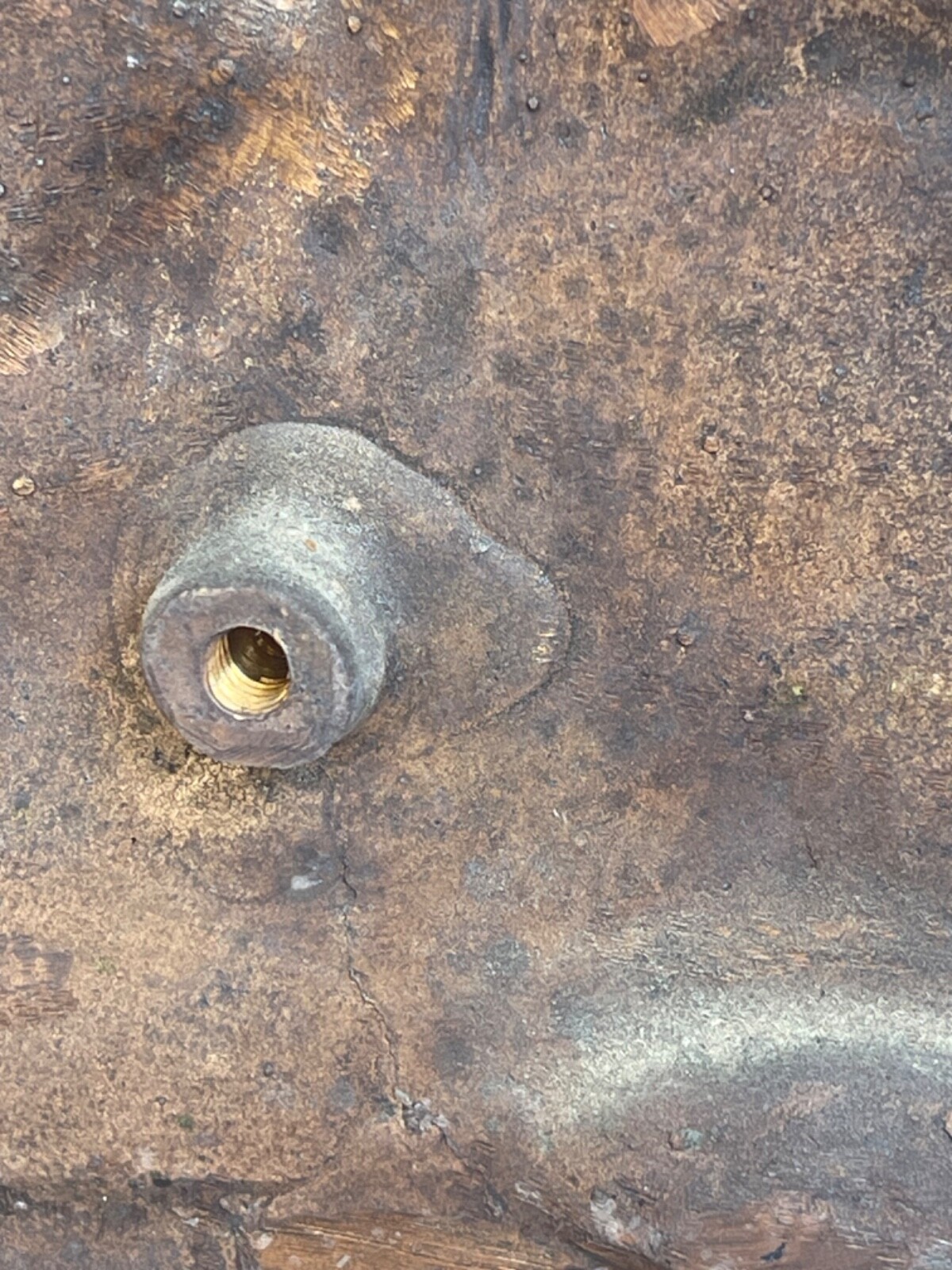 Noé et colombe Israël Bronze San Zeno Vérone Italie 48cm par 43 cm Reproduction – Image 4