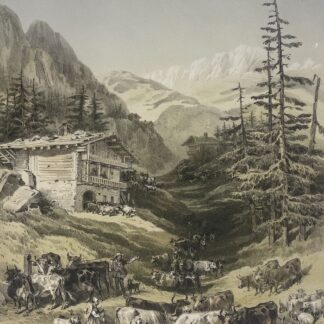 Troupeaux sur la Montagne Col des Aravis Savoie lithographie 1864 France Alpes