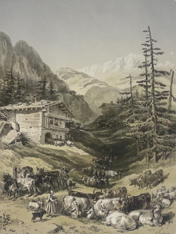 Troupeaux sur la Montagne Col des Aravis Savoie lithographie 1864 France Alpes