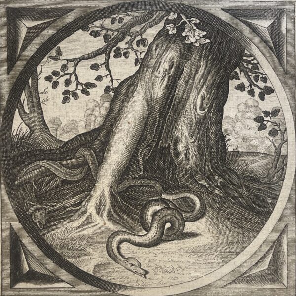 Jacob Cats Adriaen serpent muant vieillesse sagesse morale hollandaise 1655