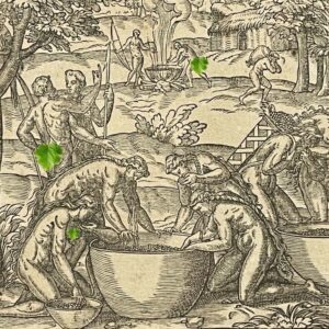 Brésil fabrication breuvage d'après André Thevet (1504-1592) Engraving 1575
