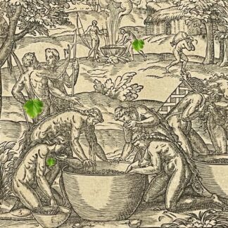 Brésil fabrication breuvage d'après André Thevet (1504-1592) Engraving 1575