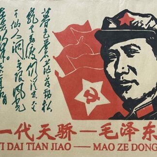 Original Chinese Cultural Revolution Poster Mao Zedong Hero a Generation Chine