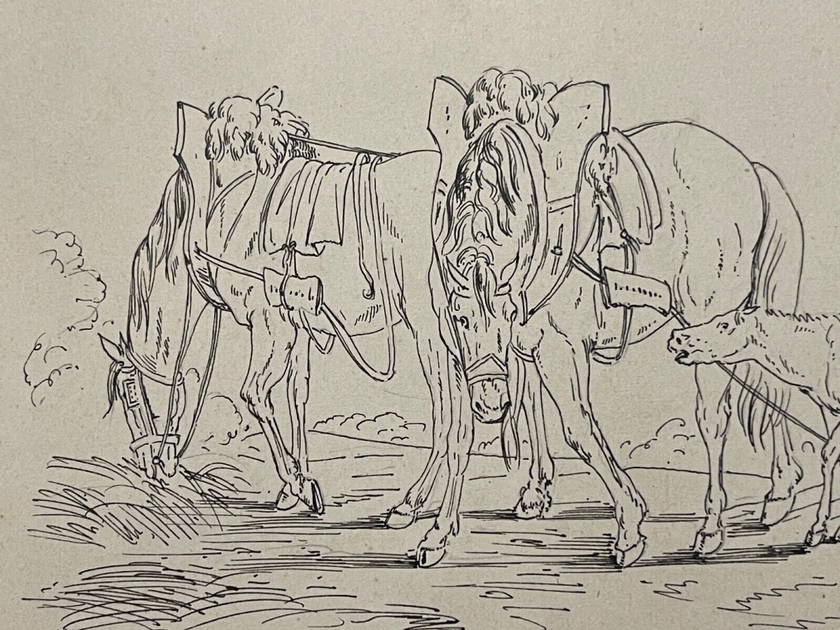 Napoleonic Groom with Horses Ink Drawing Attributed to Antony Hottot c1885 – Image 4