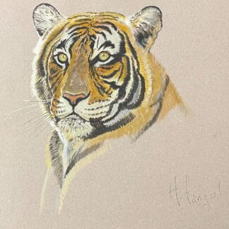 Henri Fanjul Tiger Watercolor Original Wildlife Painting Signed XX Century