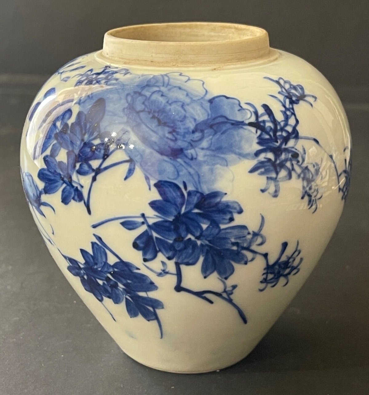 19th Century Vietnamese Bleu de Huê Blue and White Porcelain Ginger Jar – Image 10