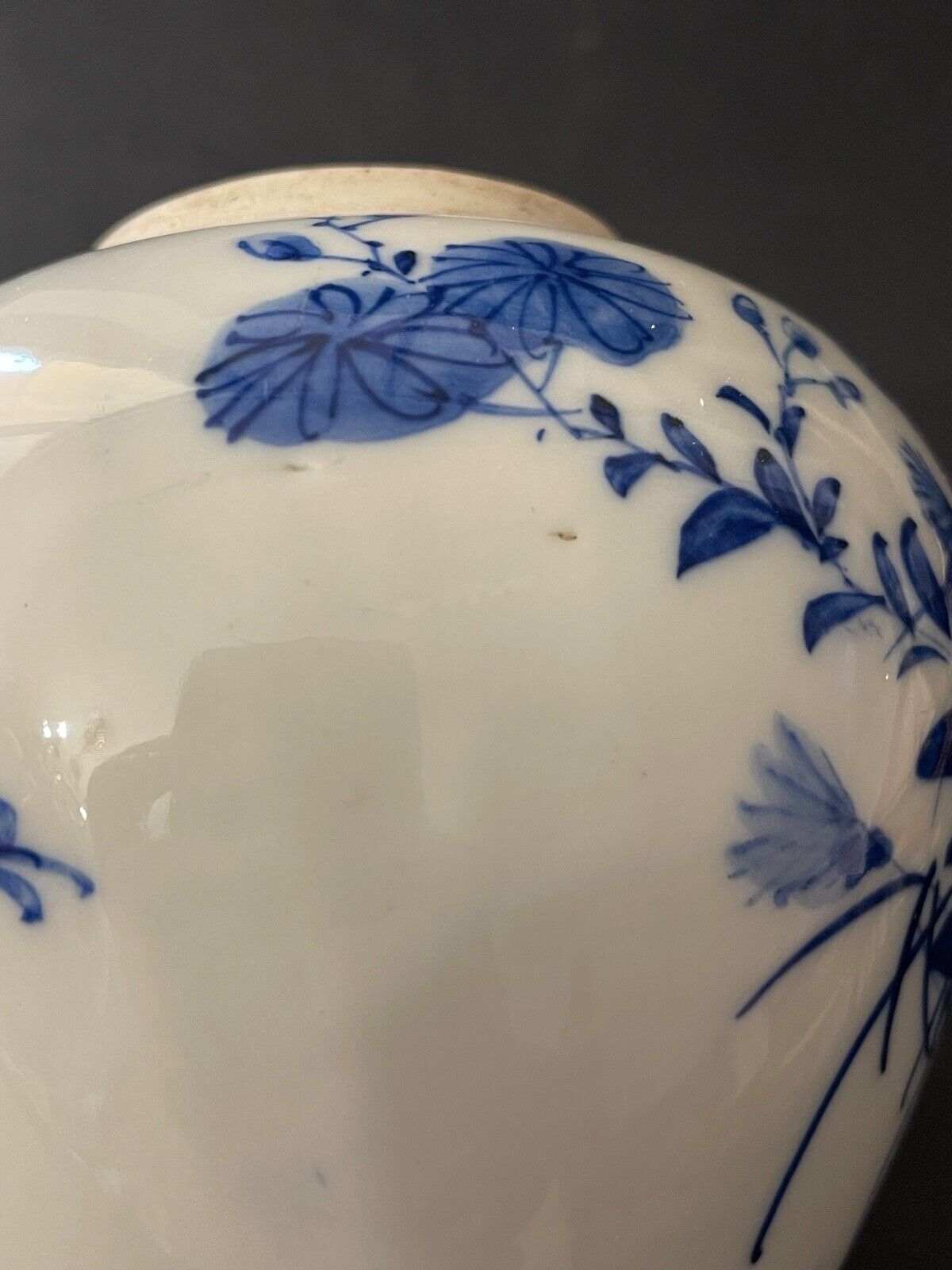 19th Century Vietnamese Bleu de Huê Blue and White Porcelain Ginger Jar – Image 7