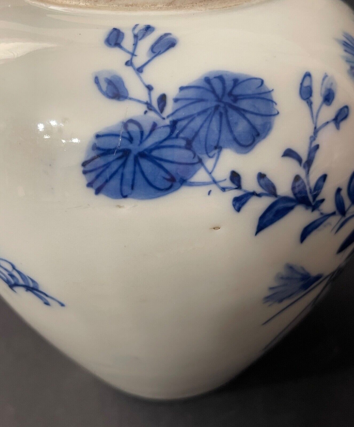 19th Century Vietnamese Bleu de Huê Blue and White Porcelain Ginger Jar – Image 5