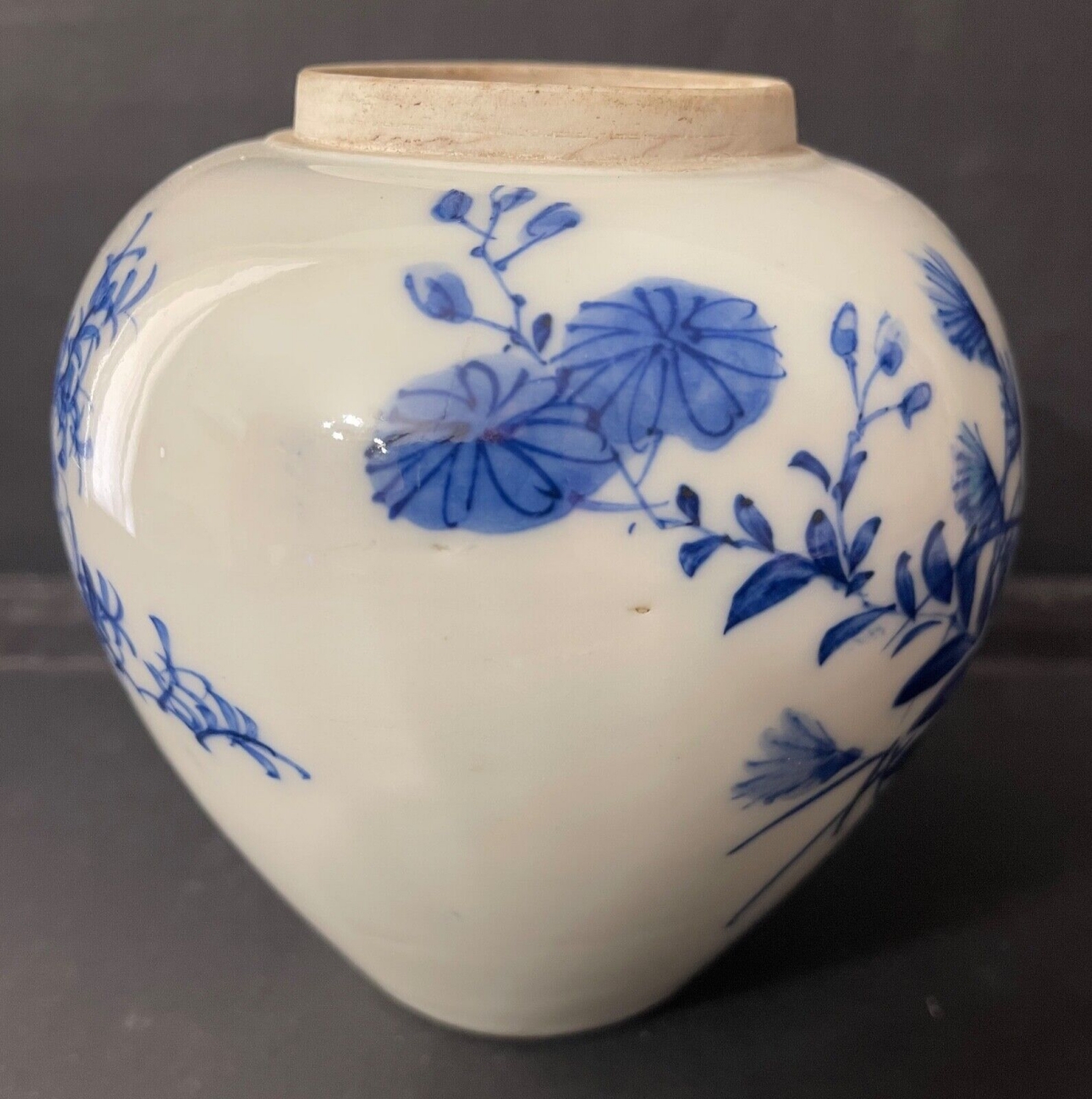19th Century Vietnamese Bleu de Huê Blue and White Porcelain Ginger Jar – Image 4
