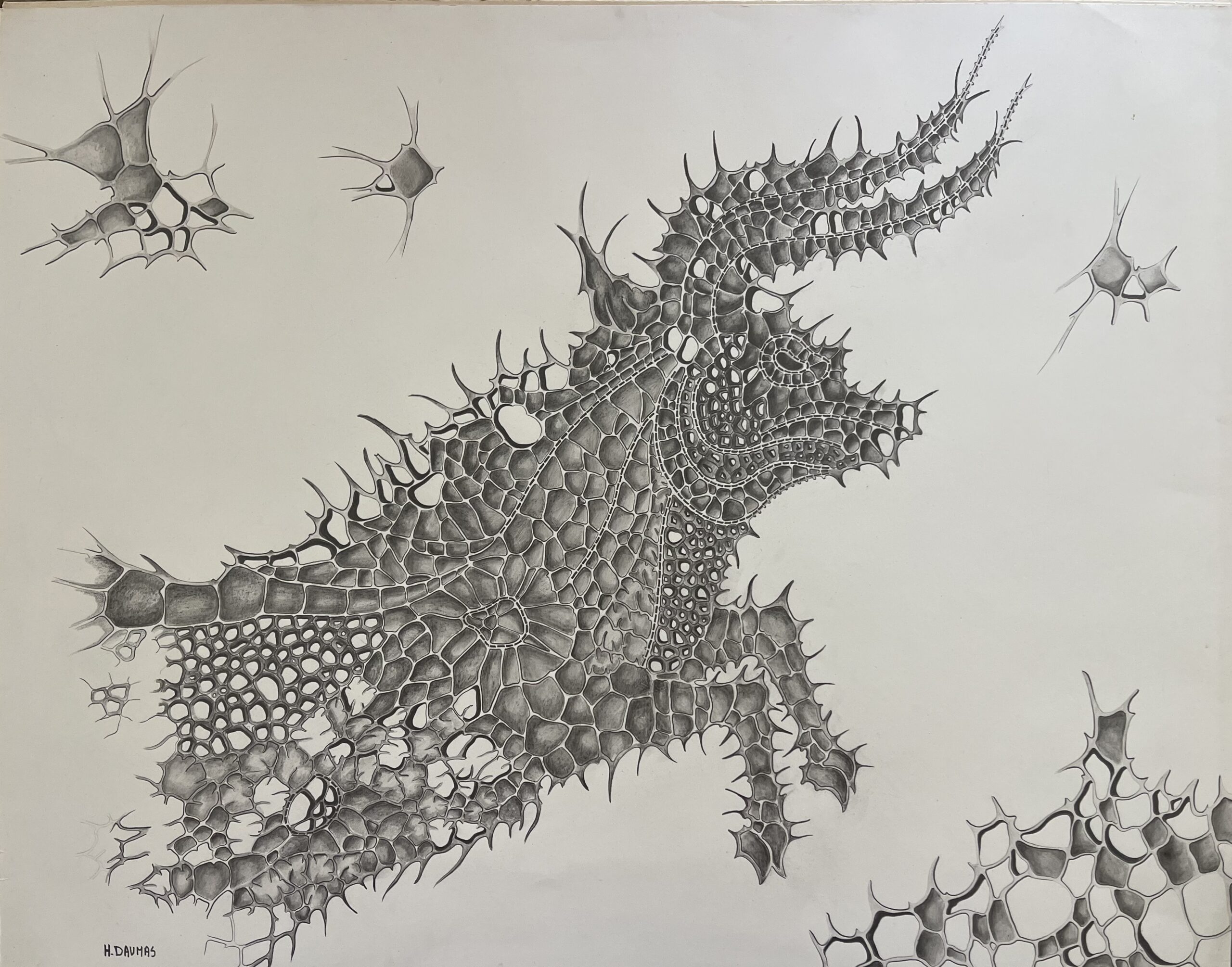 Original Zodiac Taurus Bull Ink Drawing Large Biomorphic Fantasy Artwork – Image 2