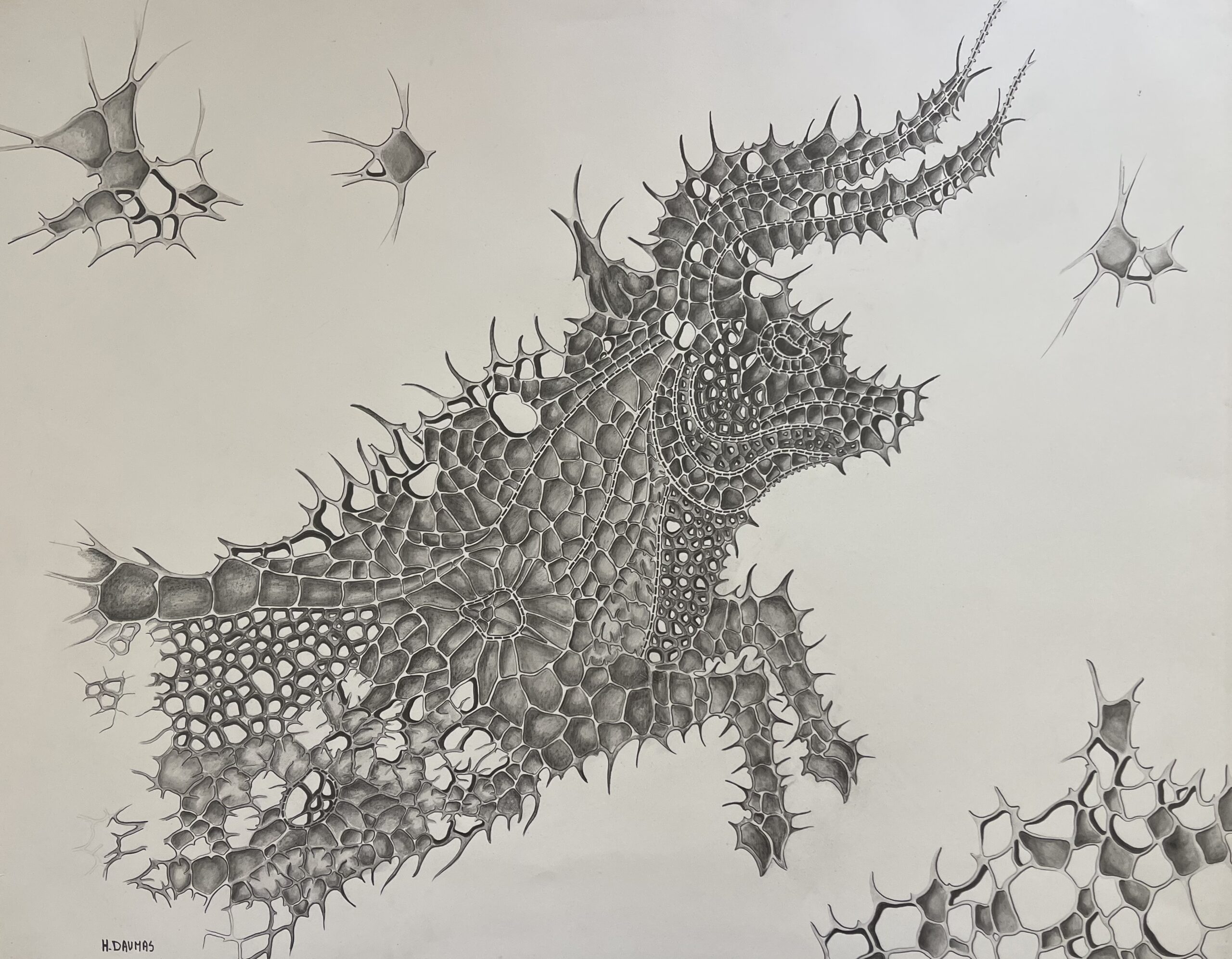 Original Zodiac Taurus Bull Ink Drawing Large Biomorphic Fantasy Artwork – Image 4
