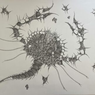 Original Zodiac Cancer Crab Ink Drawing Large Biomorphic Fantasy Artwork