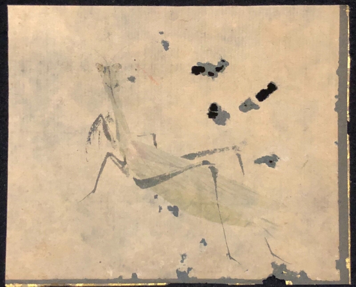 Japan Edo 17th–18th C. Grasshopper Mushi Painting Japanese Art Japon – Image 3