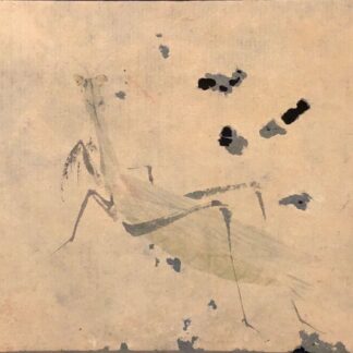 Japan Edo 17th–18th C. Grasshopper Mushi Painting Japanese Art Japon