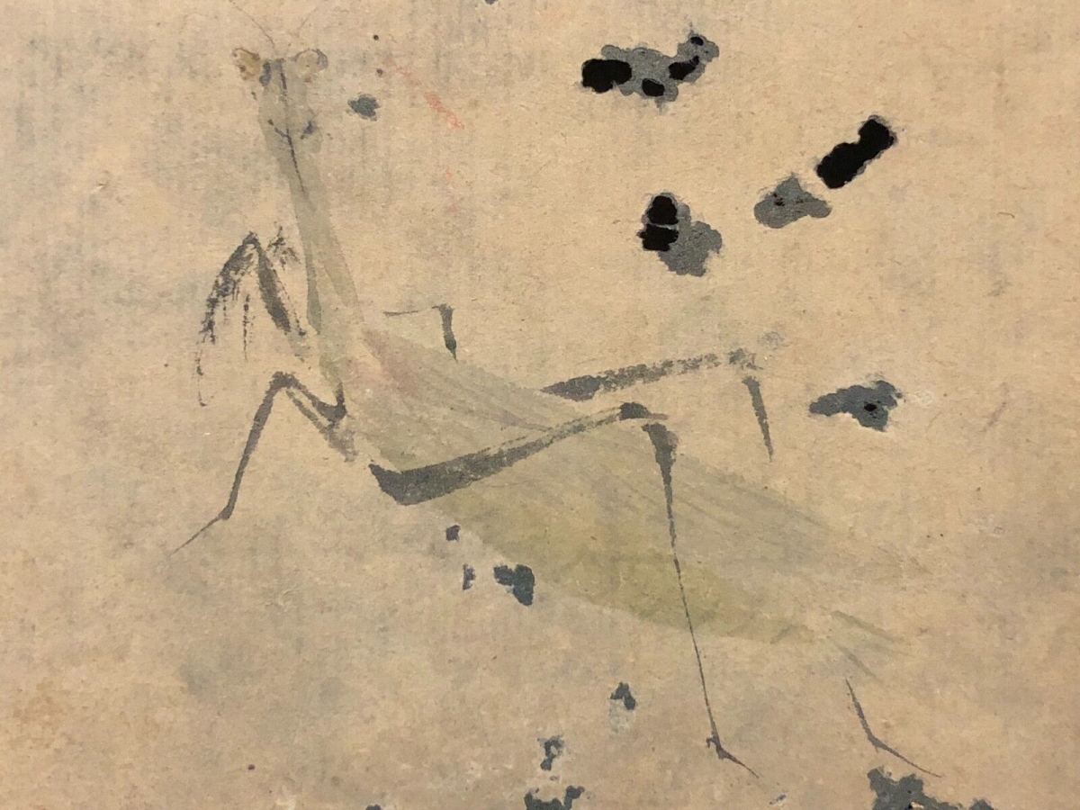 Japan Edo 17th–18th C. Grasshopper Mushi Painting Japanese Art Japon – Image 6