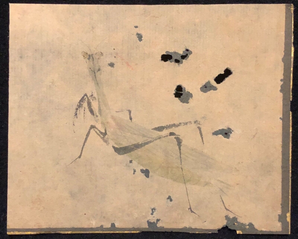 Japan Edo 17th–18th C. Grasshopper Mushi Painting Japanese Art Japon – Image 7
