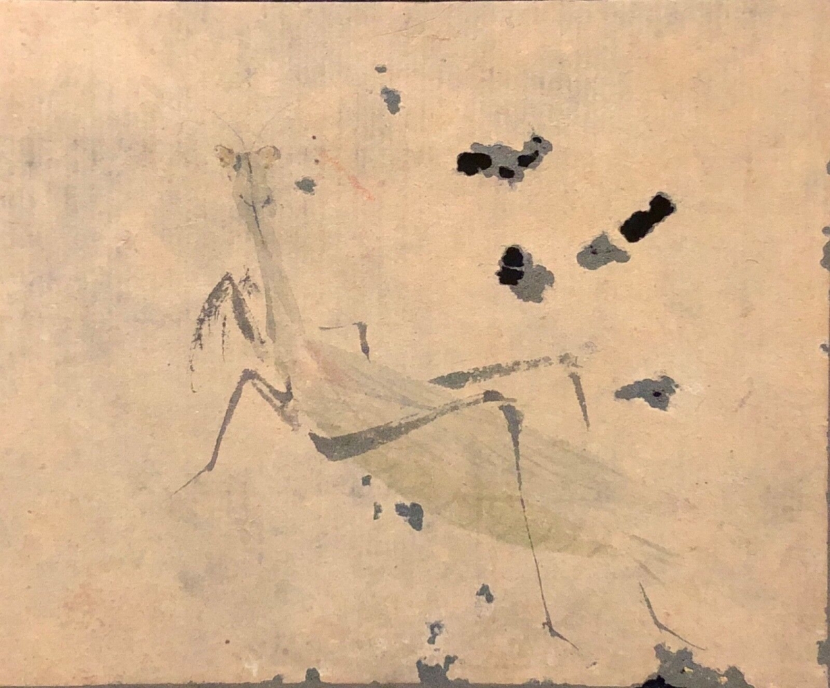 Japan Edo 17th–18th C. Grasshopper Mushi Painting Japanese Art Japon
