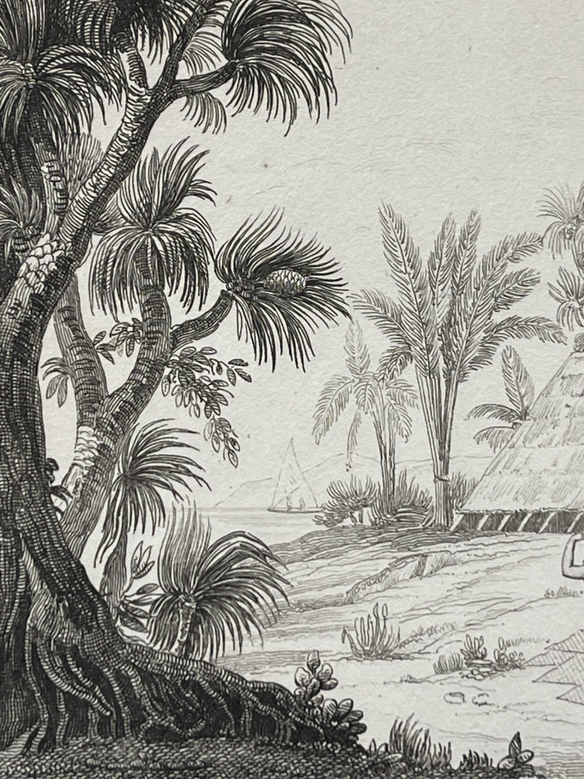 Caroline Islands Radak Island Original Antique Engraving Micronesia 1836 Océanie – Image 5