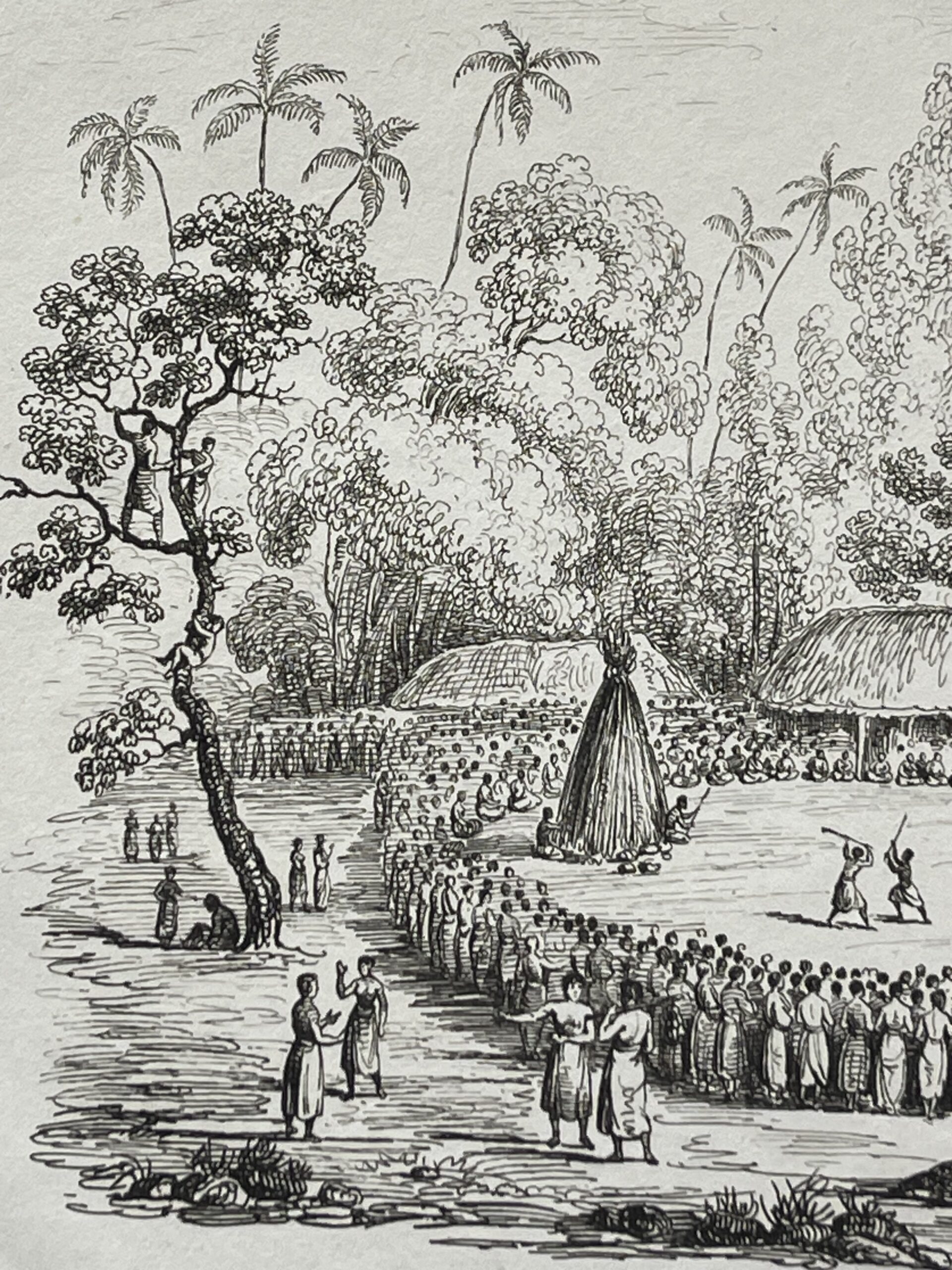 Tonga 1836 Tongatapu Funeral Ceremony Antique Engraving Polynésie Océanie – Image 6