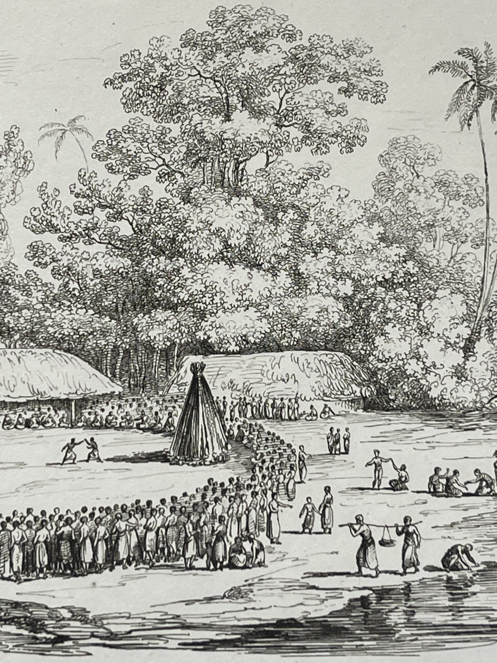Tonga 1836 Tongatapu Funeral Ceremony Antique Engraving Polynésie Océanie – Image 4
