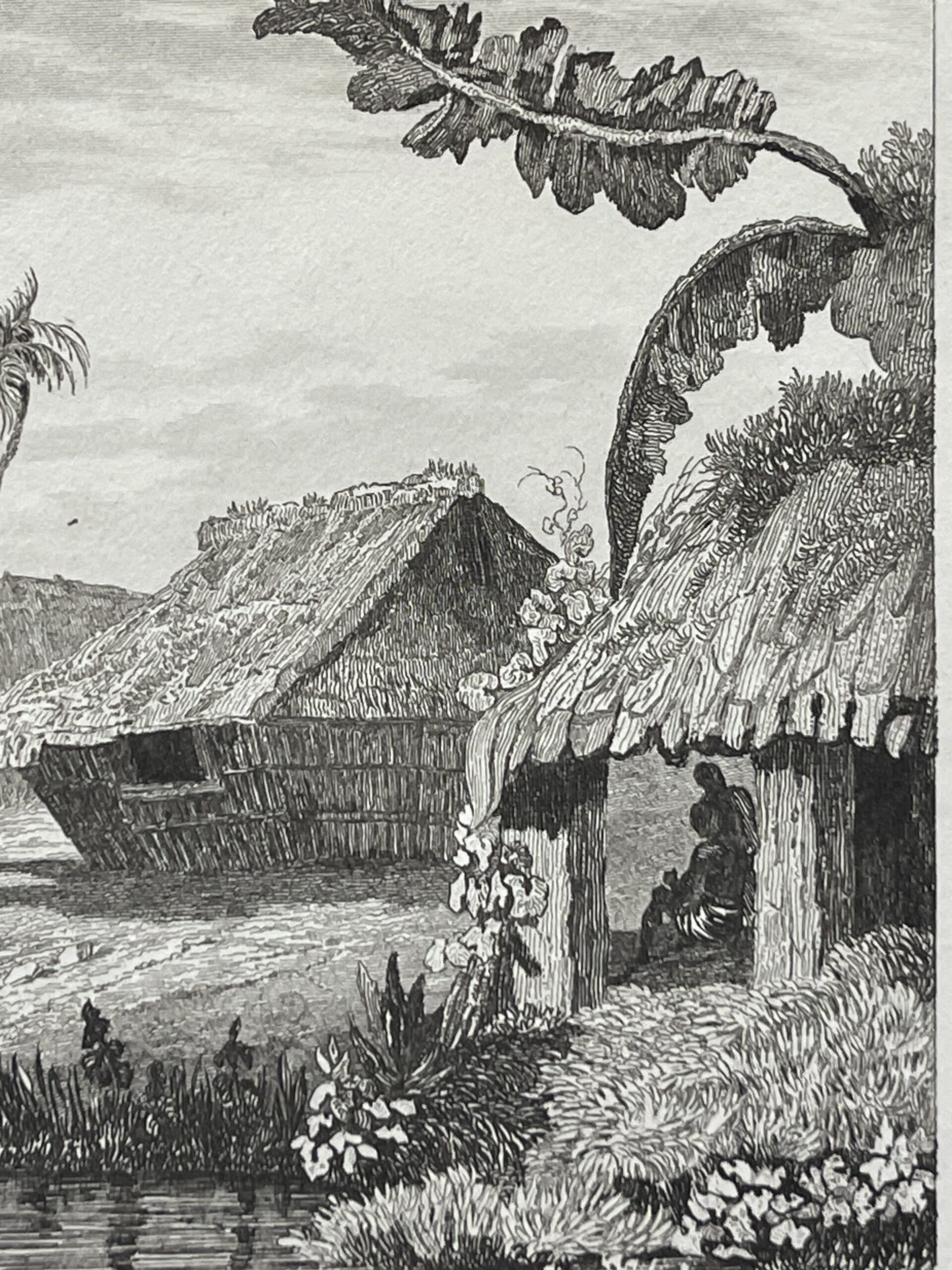 Tonga Engraving Namuka Rotterdam Island Village Pacific Ocean 1836 Océanie – Image 3