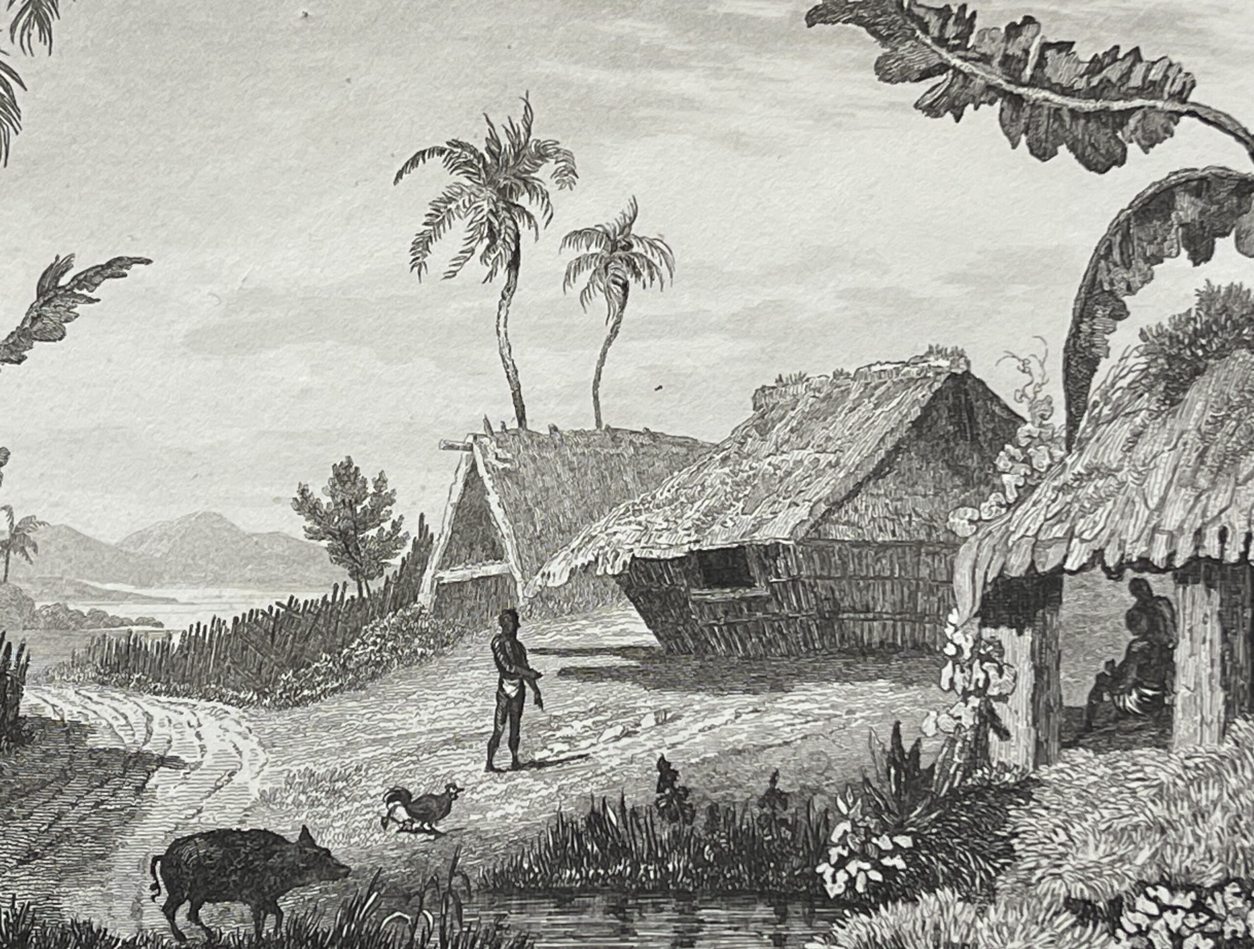 Tonga Engraving Namuka Rotterdam Island Village Pacific Ocean 1836 Océanie – Image 2