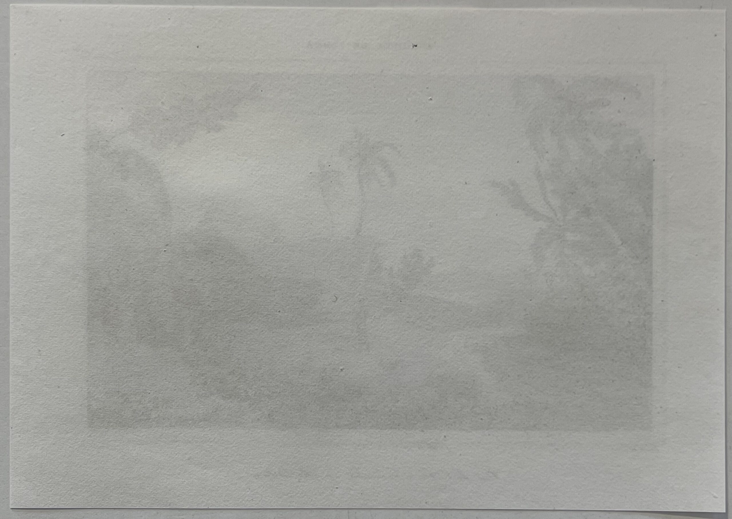 Tonga Engraving Namuka Rotterdam Island Village Pacific Ocean 1836 Océanie – Image 6