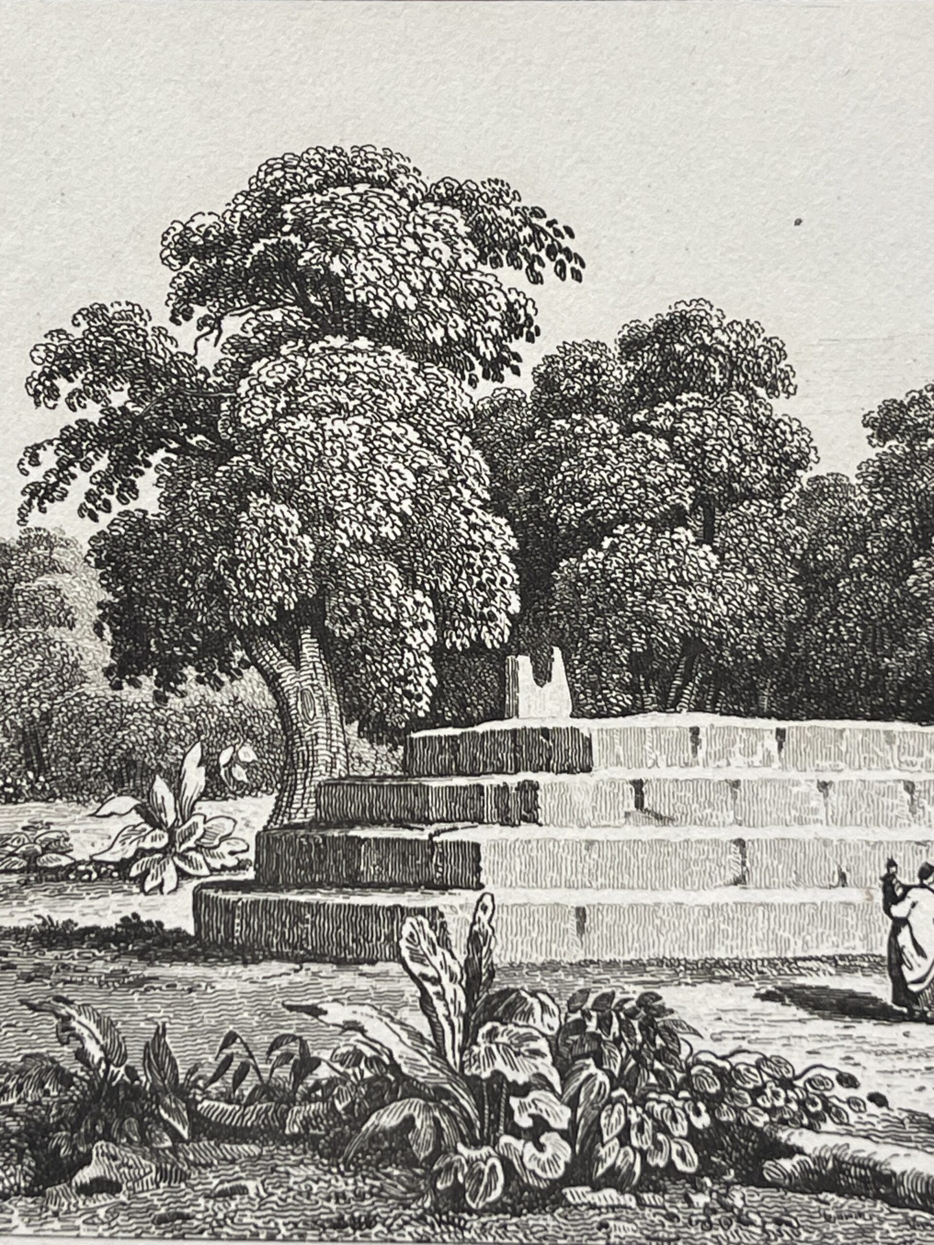 Tonga Engraving 1836 Tuʻi Tonga Royal Tomb Fai-Toka Sacred Monument Pacific – Image 3