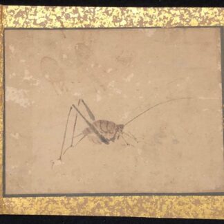 Japan Edo 17th–18th C Mushi Grasshopper Painting Japon Antique Paper