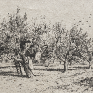 Provence olive harvest drypoint by Eugène Burnand dated 1884 showing workers picking olives in a French grove