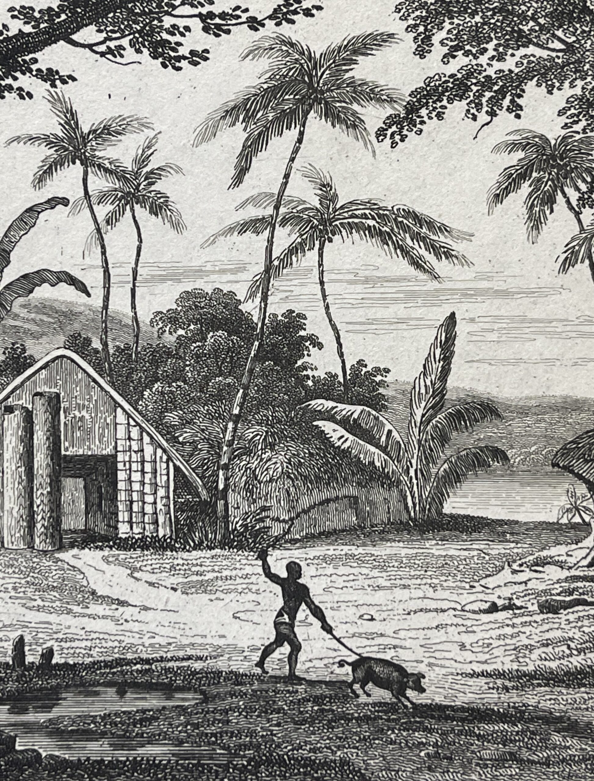 Papua New Guinea View of Manavai – Antique Engraving, 1837 – Image 4