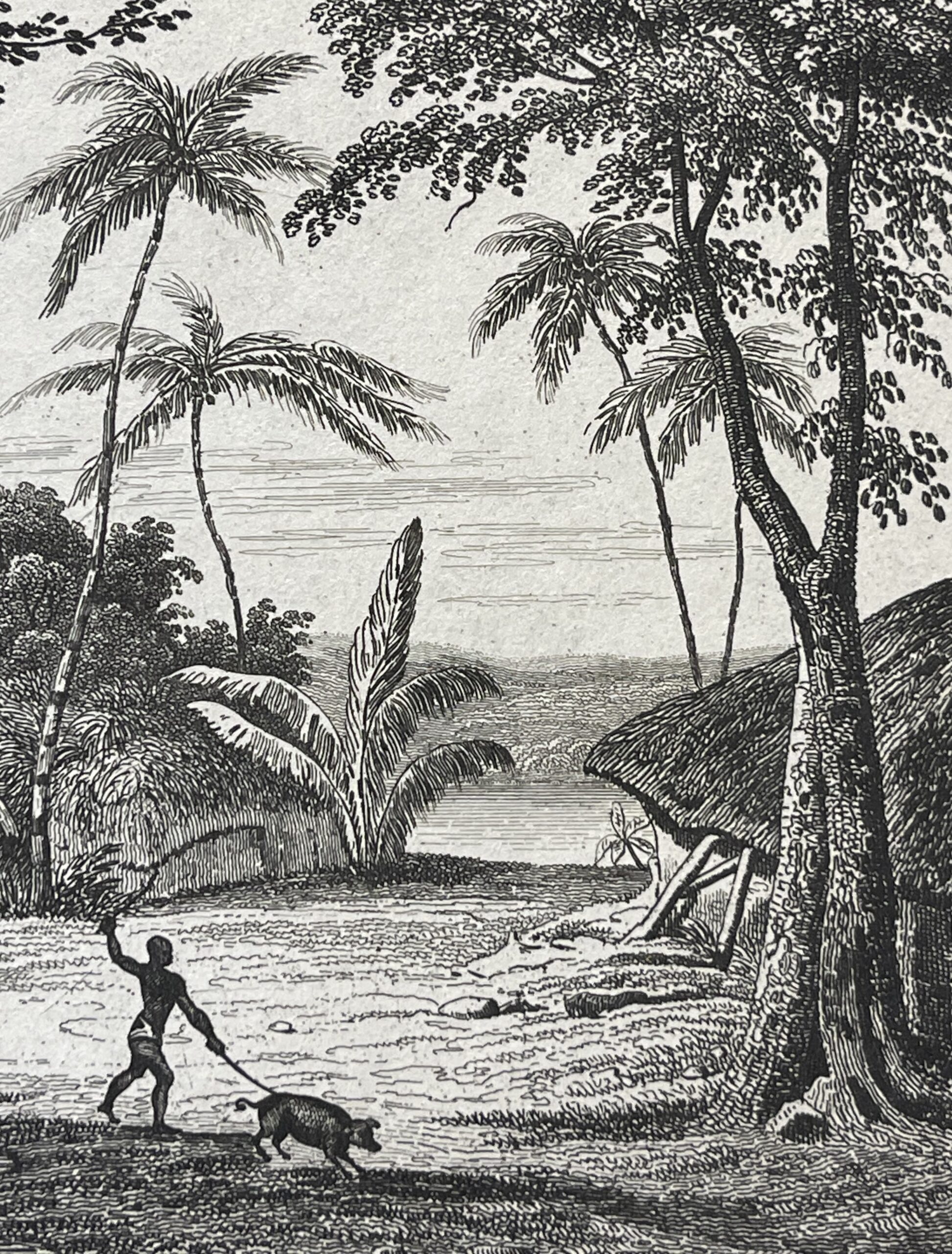 Papua New Guinea View of Manavai – Antique Engraving, 1837 – Image 3