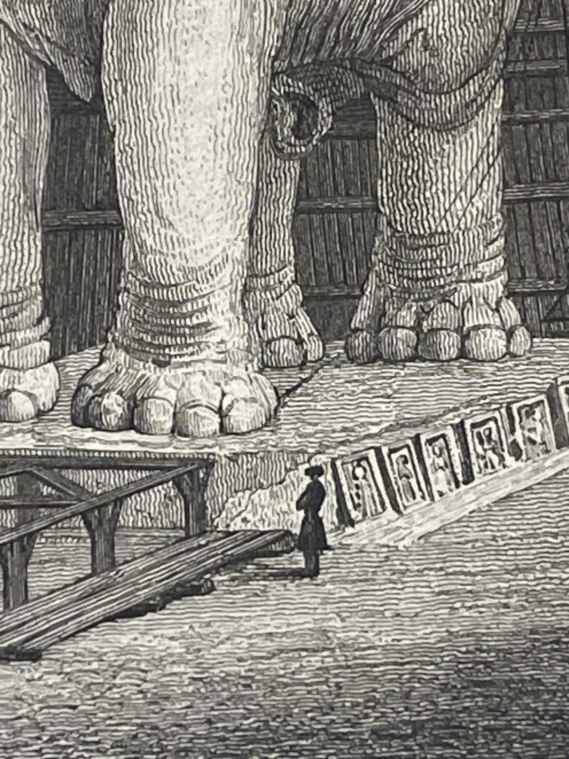Paris Bastille Elephant Model – Antique Engraving Dated 1830 – Image 8