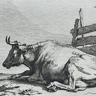 Lying Cow after Paulus Potter Amand Durand Edition circa 1880