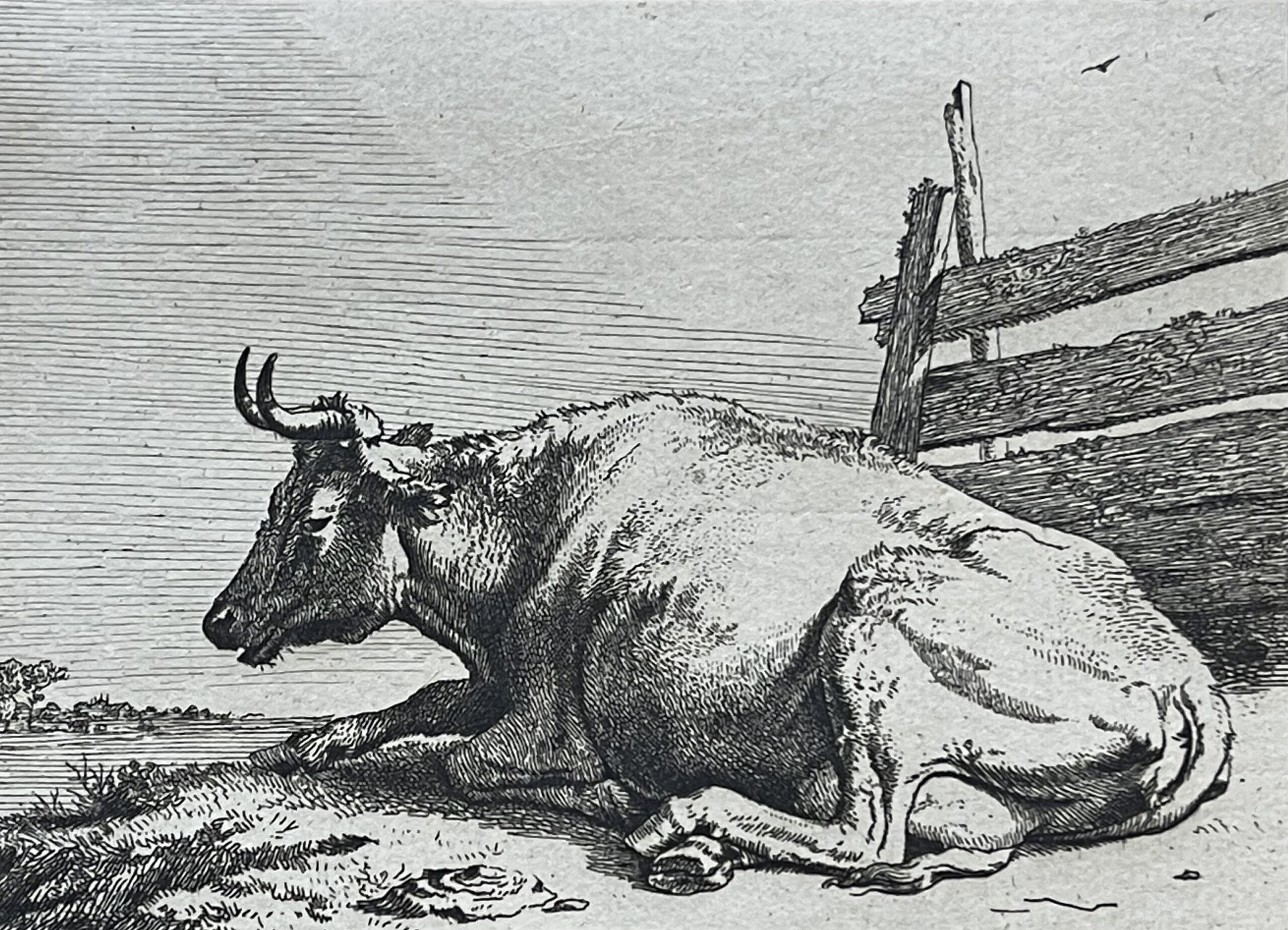 Lying Cow after Paulus Potter Amand Durand Edition circa 1880
