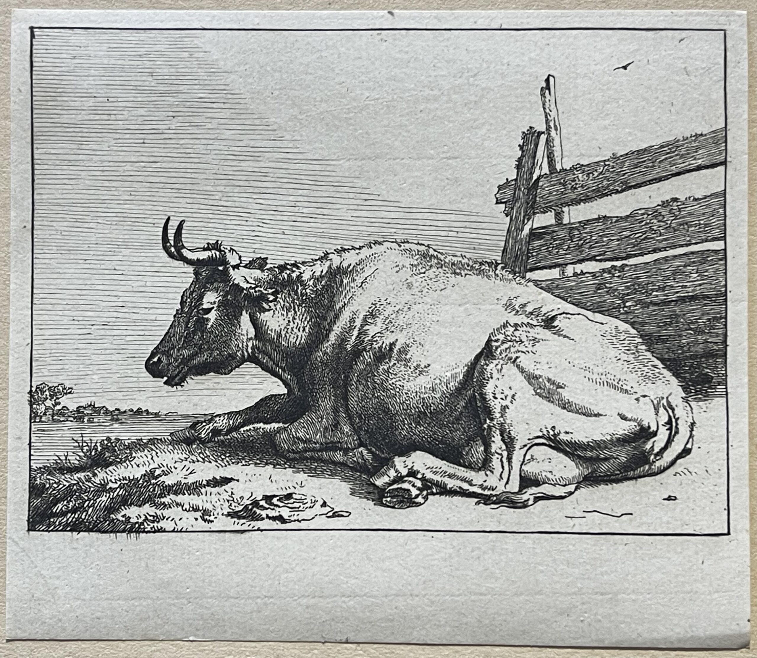 Lying Cow after Paulus Potter Amand Durand Edition circa 1880 – Image 2