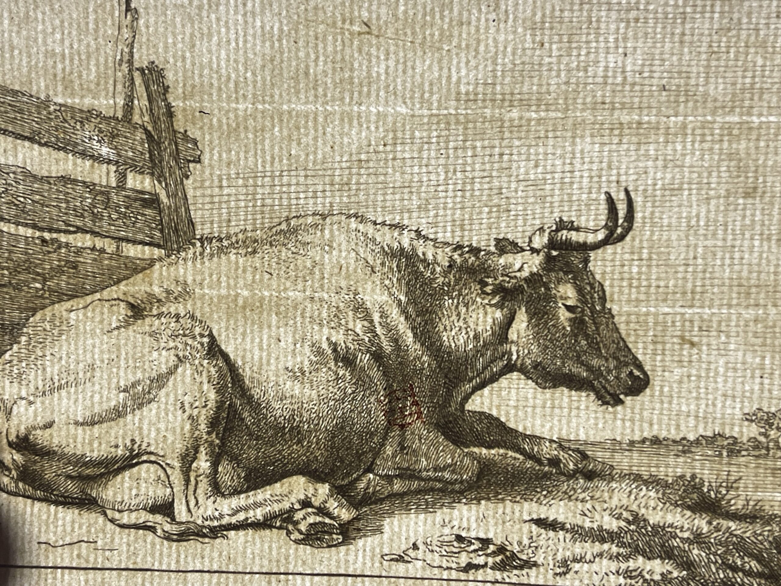 Lying Cow after Paulus Potter Amand Durand Edition circa 1880 – Image 5