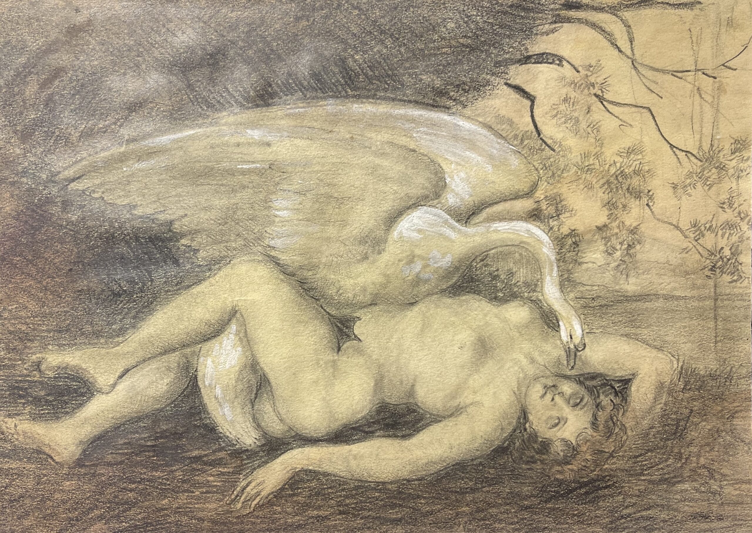Leda and the Swan drawing in graphite and white gouache, showing a reclining female nude and a swan with outspread wings.