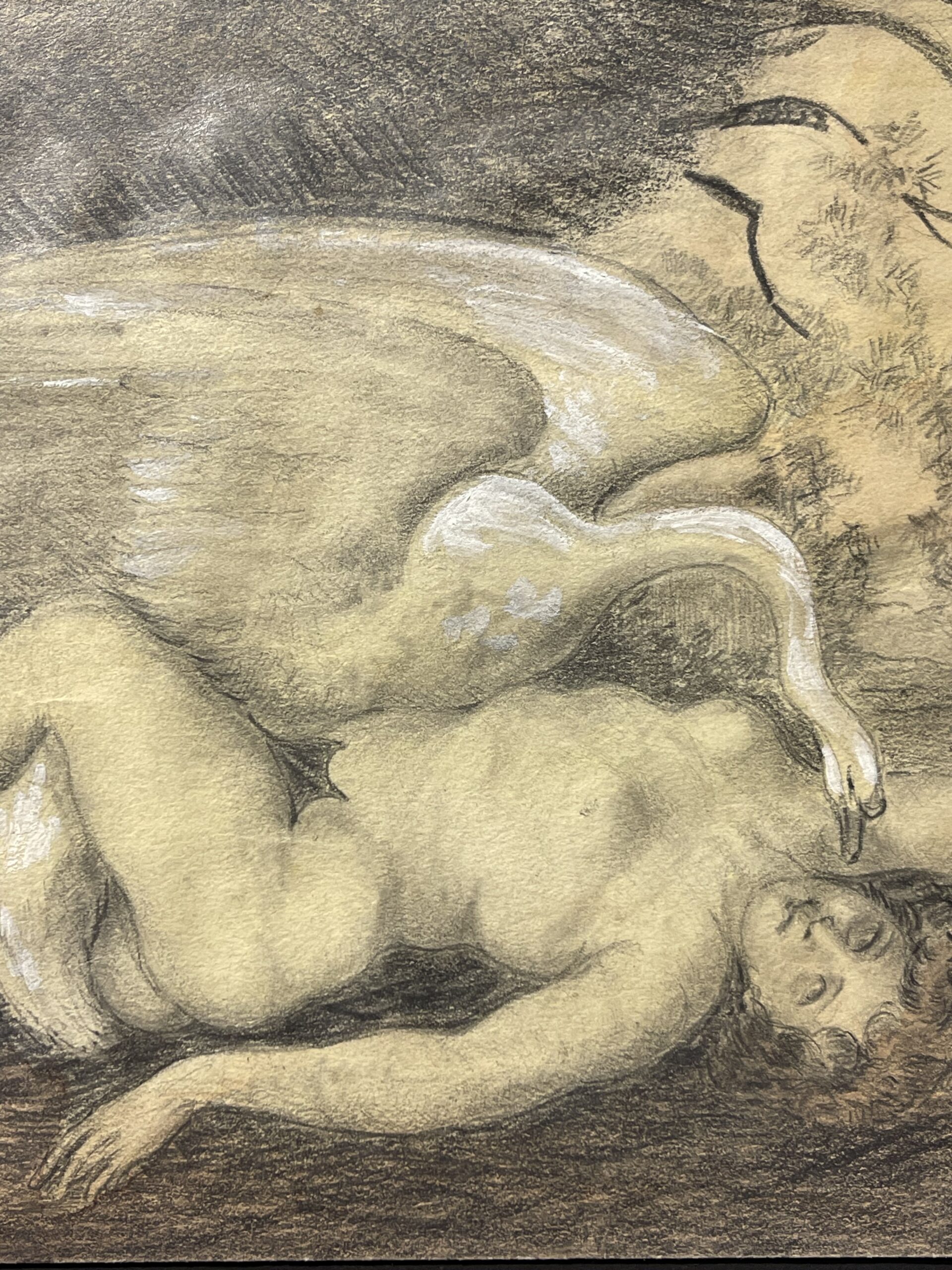 Leda and the Swan — Mythological Drawing with White Gouache Highlights – Image 4