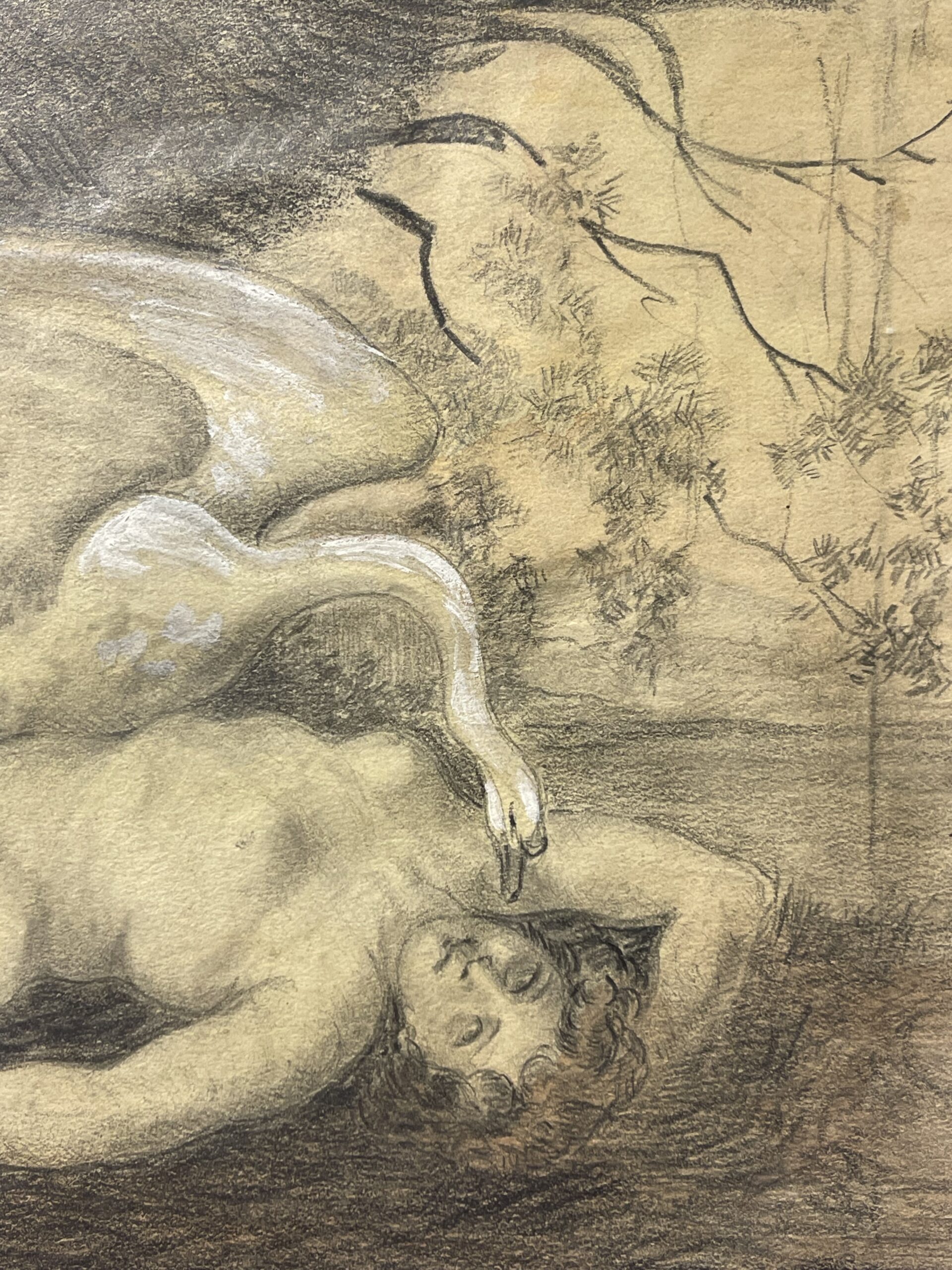 Leda and the Swan — Mythological Drawing with White Gouache Highlights – Image 3