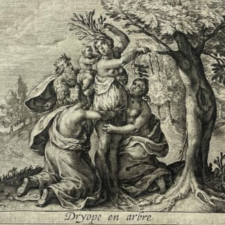 The Transformation of Dryope in Ovid’s Metamorphoses