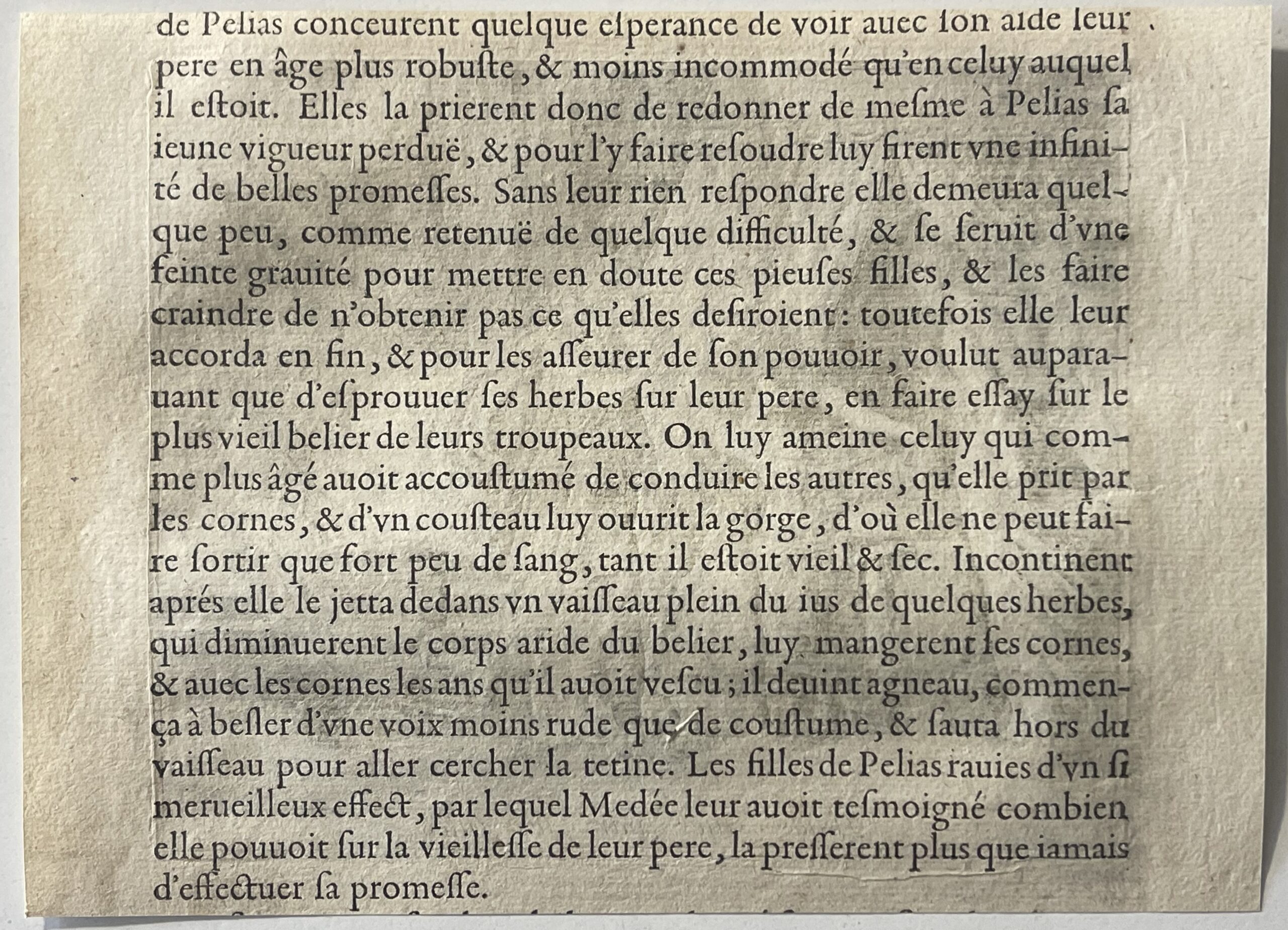 Medea and the Daughters of Pelias in Ovid’s Metamorphoses – Image 7
