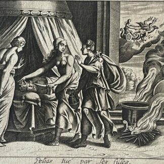 Medea and the Daughters of Pelias in Ovid’s Metamorphoses