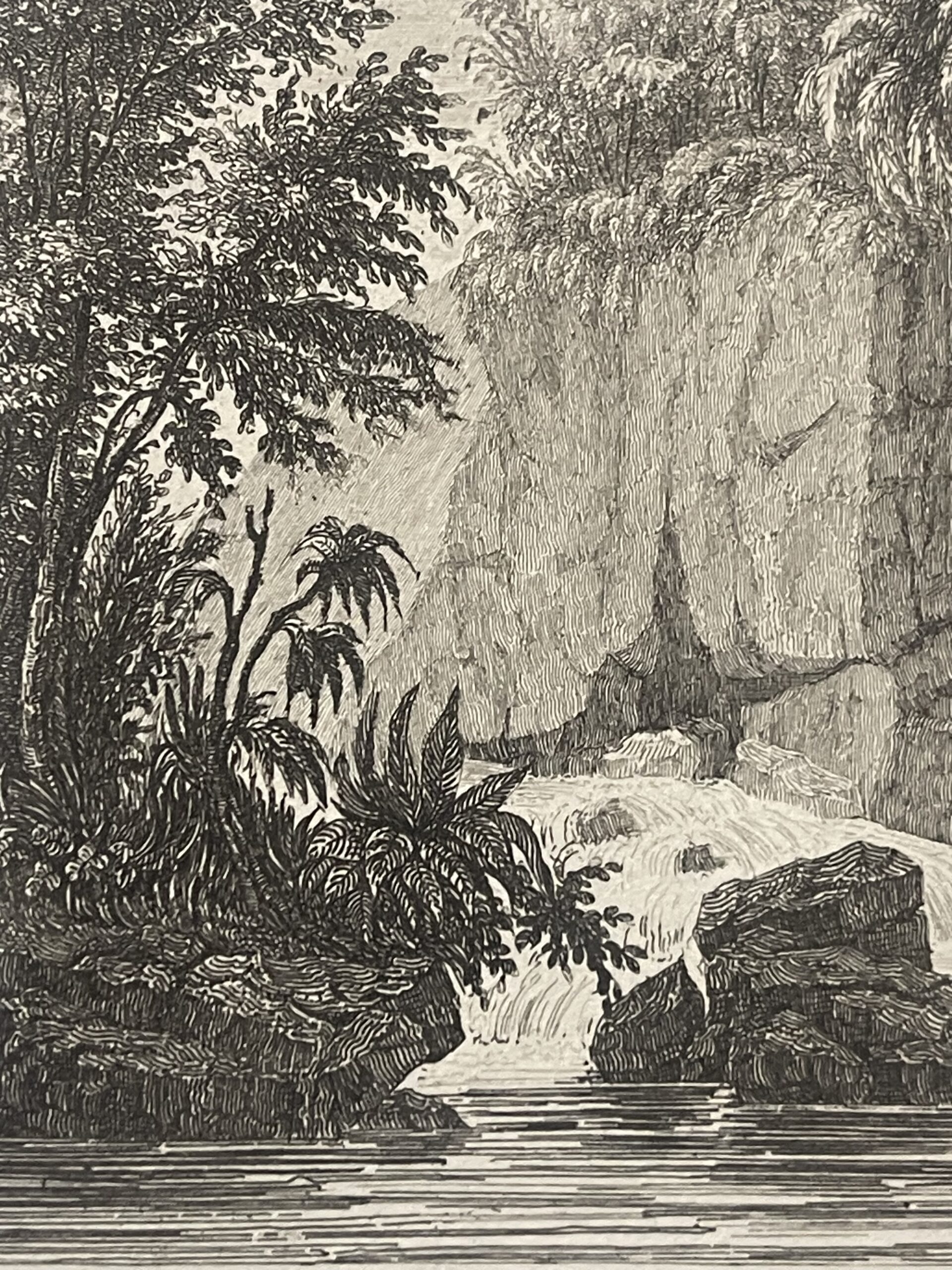 Ambon Amboine Indonesia Tropical Ravine and Cascade Antique Print – Image 4