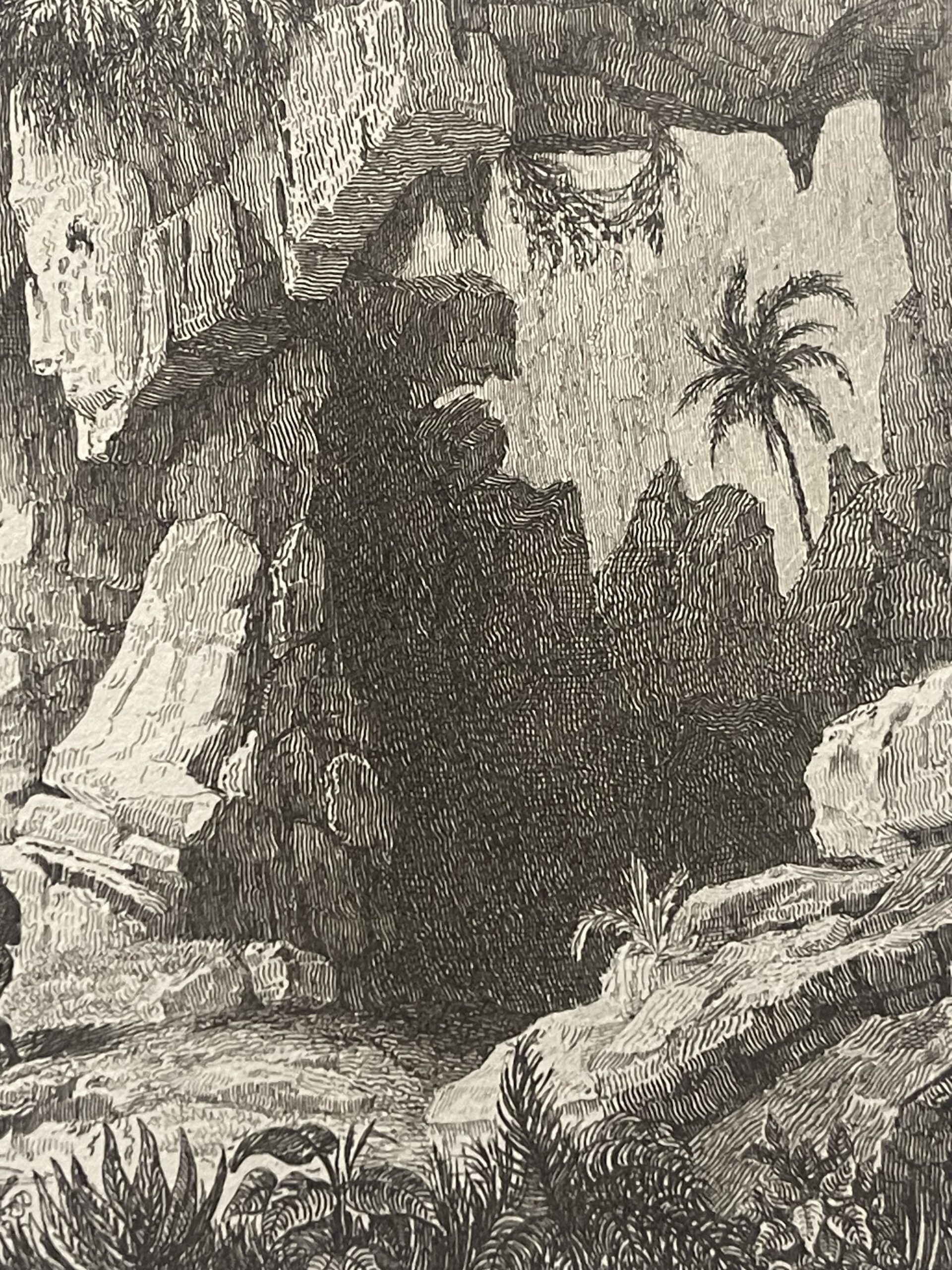 Ambon Amboine Indonesia Tropical Ravine and Cascade Antique Print – Image 6